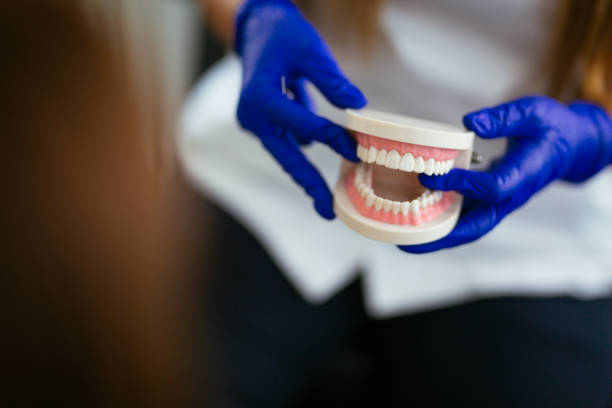 Adams, WI  Holistic Dental Services Company